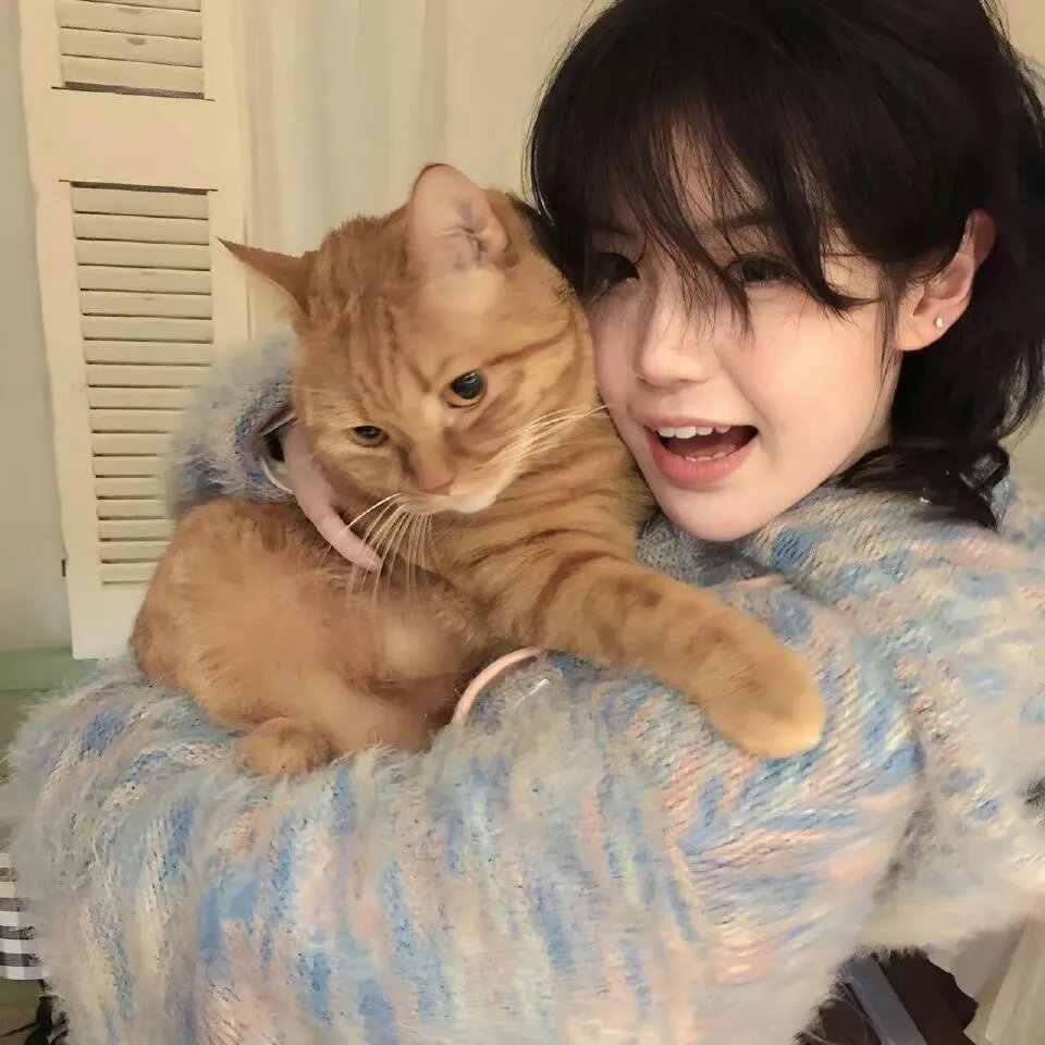 夫人死后，江总他疯了